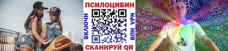 Псилоцибиновые грибы Psilocybine cubensis  Прокопьевск 